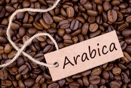 Arabica