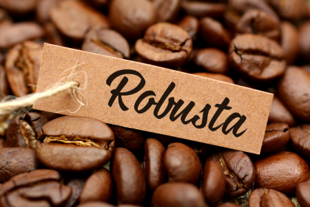 Robusta